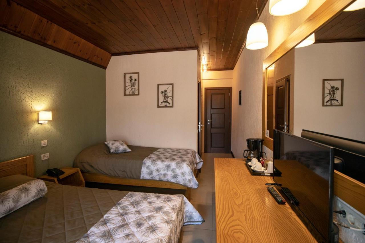 Asimina Guesthouse, Eptalofos Parnassos Bagian luar foto