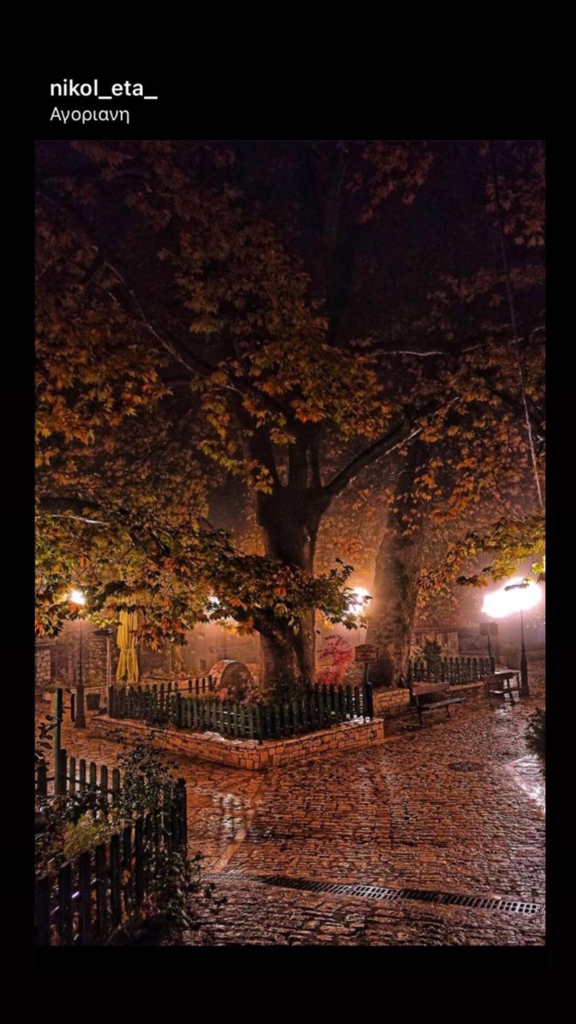 Asimina Guesthouse, Eptalofos Parnassos Bagian luar foto