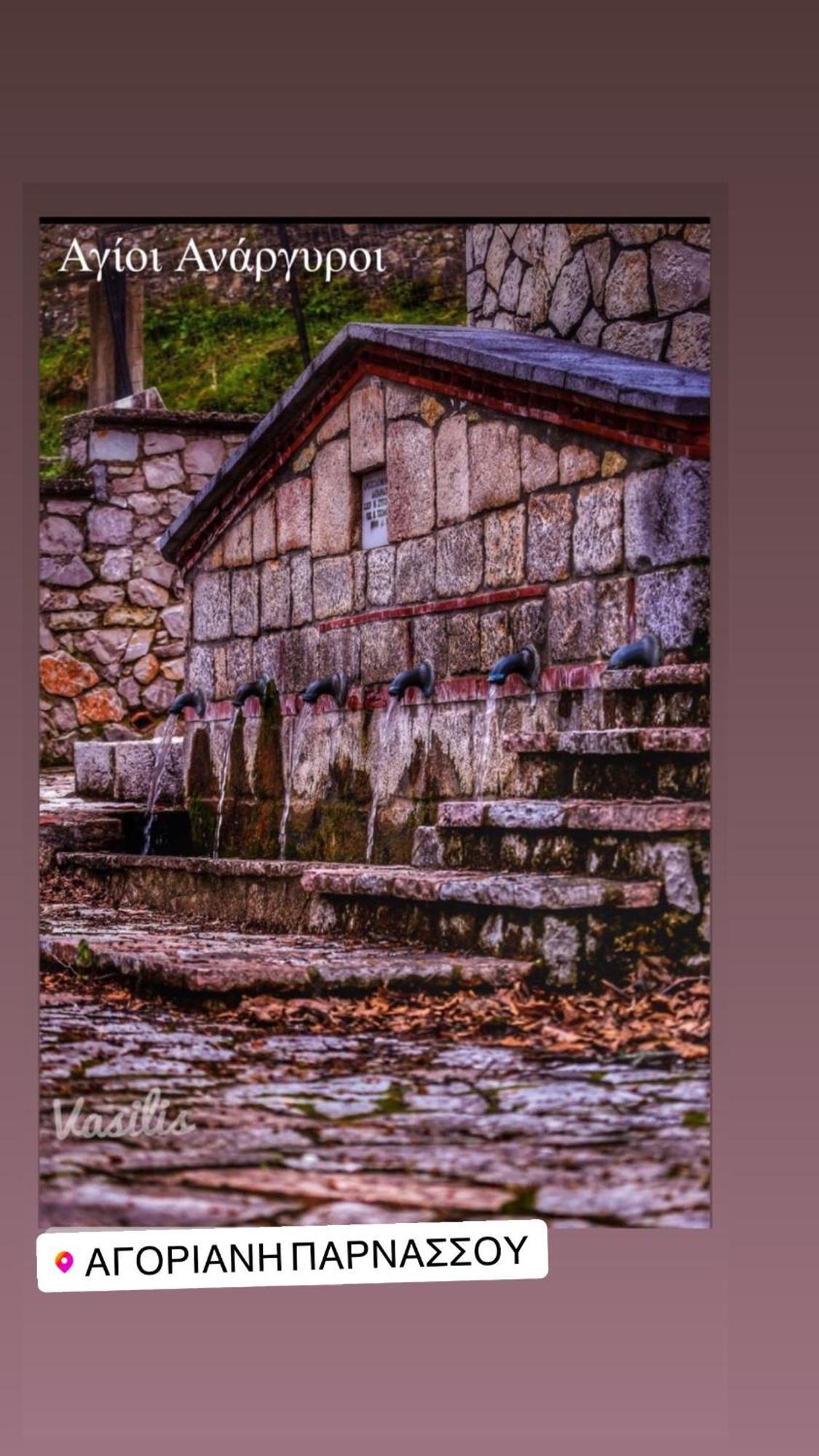 Asimina Guesthouse, Eptalofos Parnassos Bagian luar foto