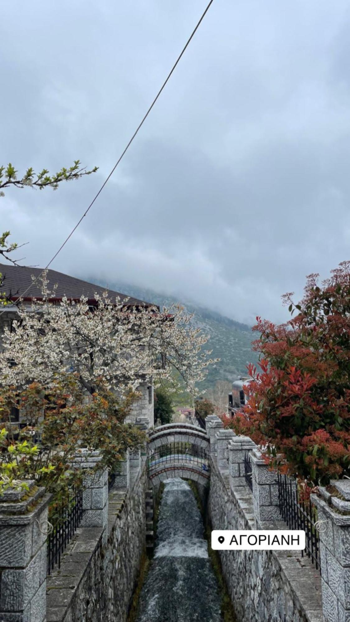 Asimina Guesthouse, Eptalofos Parnassos Bagian luar foto