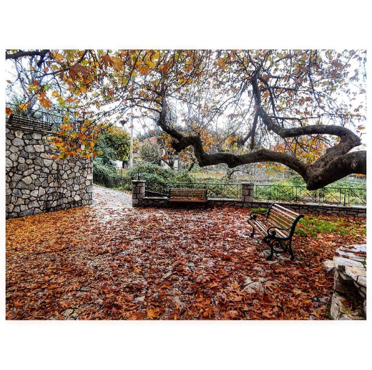 Asimina Guesthouse, Eptalofos Parnassos Bagian luar foto