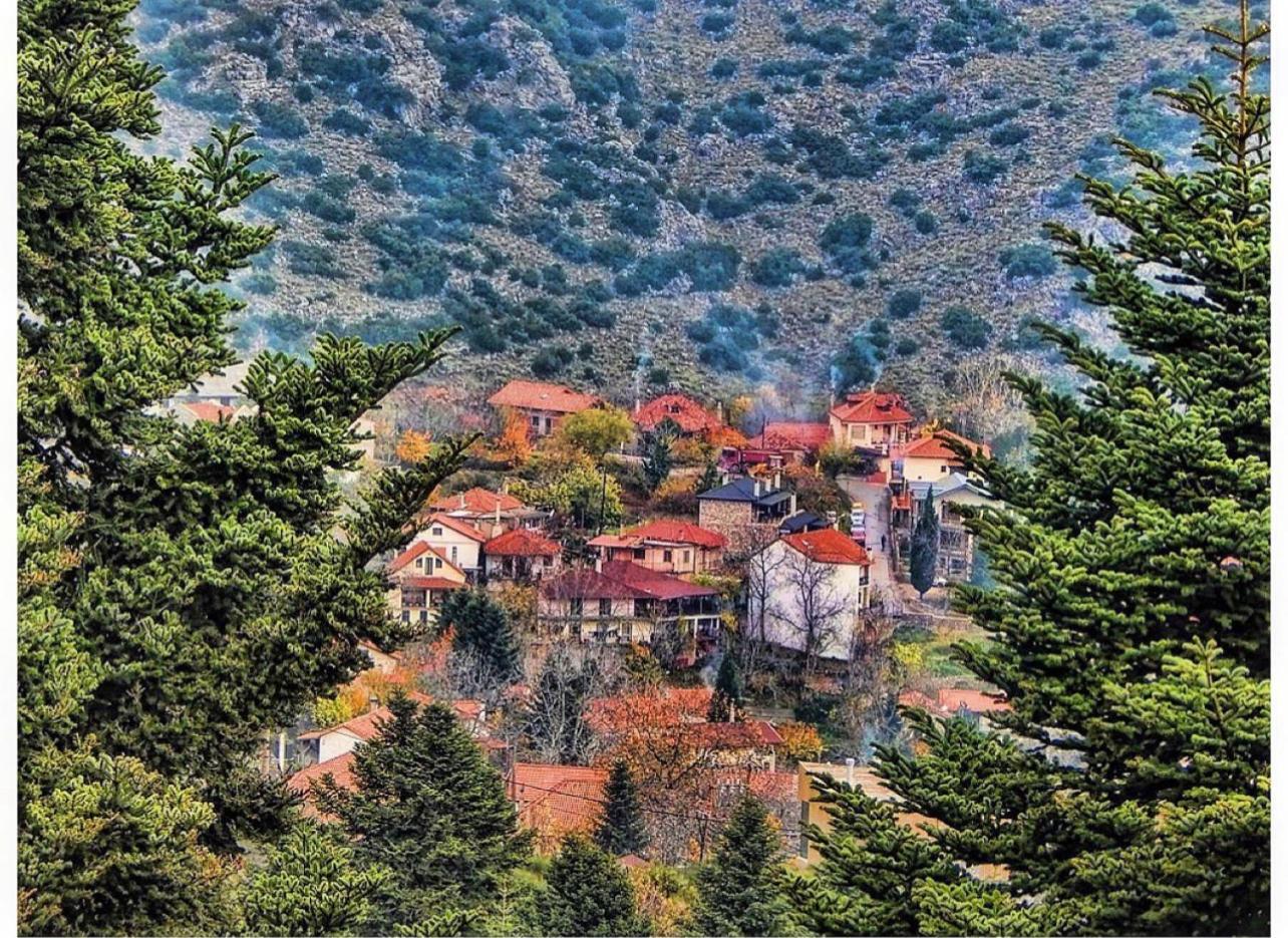 Asimina Guesthouse, Eptalofos Parnassos Bagian luar foto