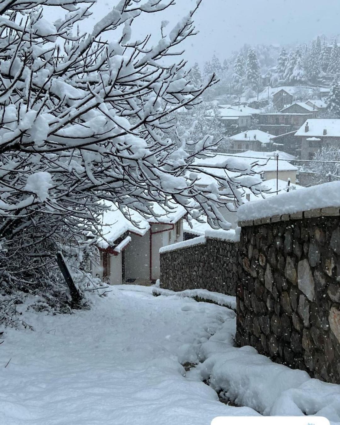 Asimina Guesthouse, Eptalofos Parnassos Bagian luar foto
