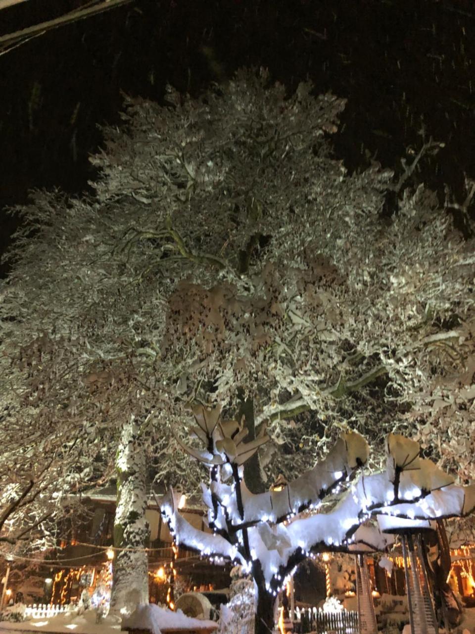 Asimina Guesthouse, Eptalofos Parnassos Bagian luar foto