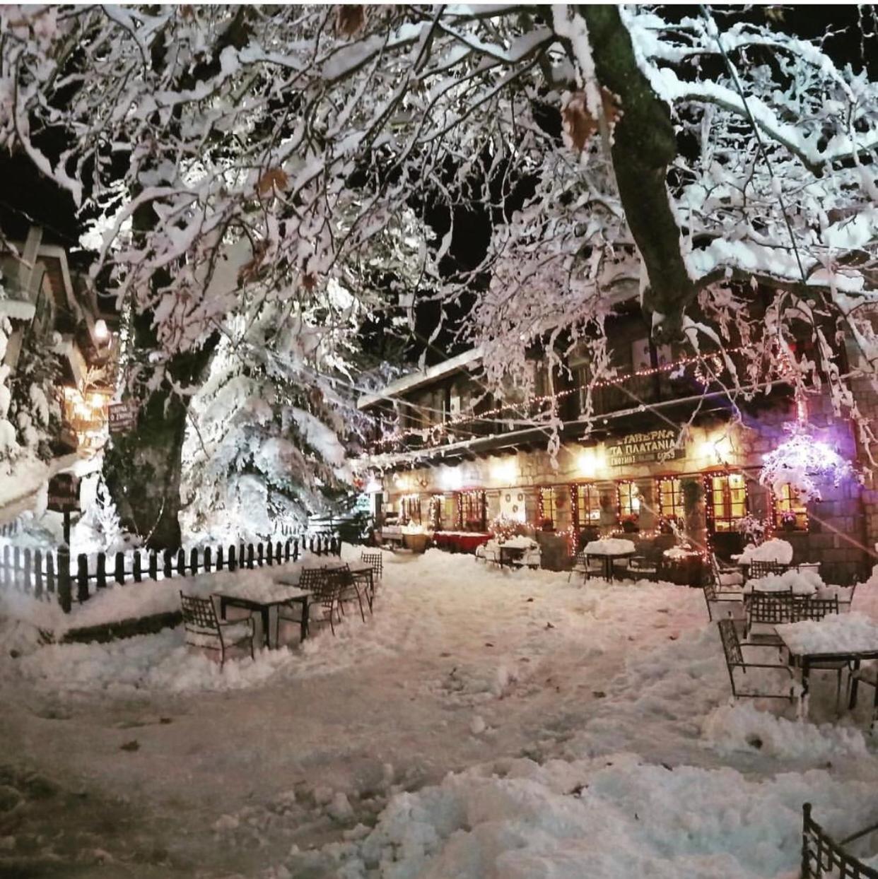 Asimina Guesthouse, Eptalofos Parnassos Bagian luar foto